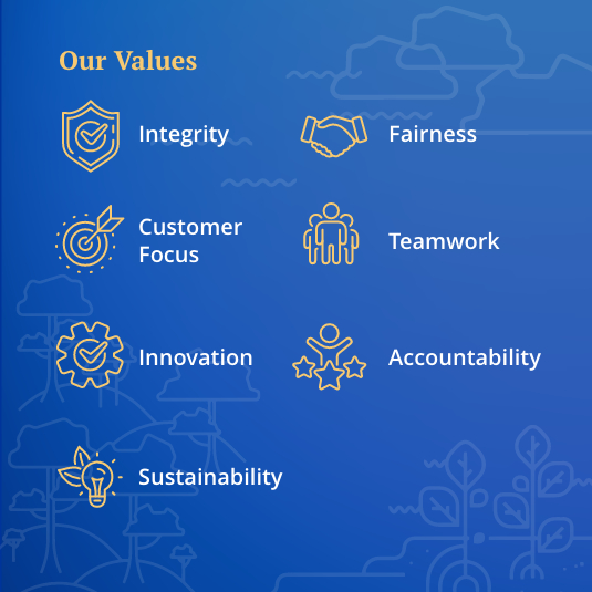 Our Values